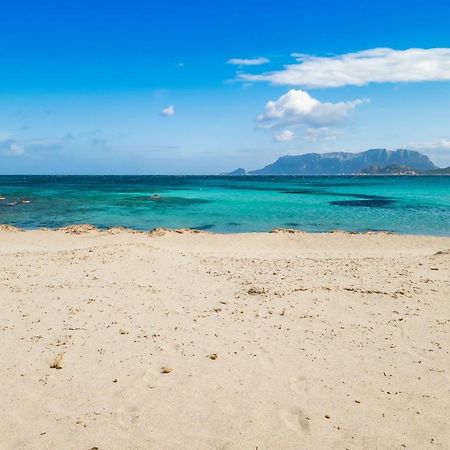 أولبيا Le Dimore Di Nettuno المظهر الخارجي الصورة