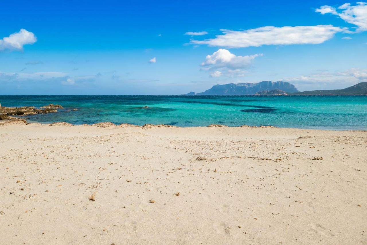 أولبيا Le Dimore Di Nettuno المظهر الخارجي الصورة