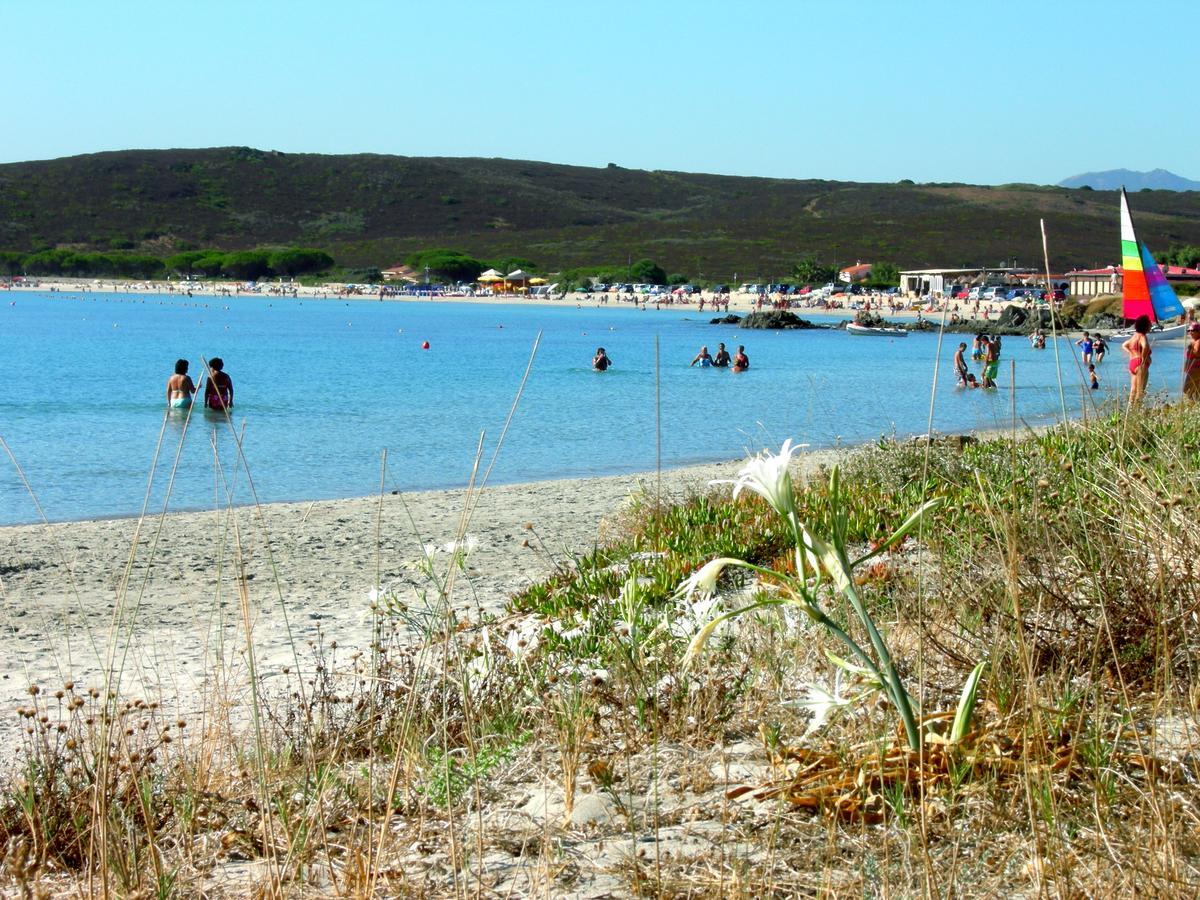 أولبيا Le Dimore Di Nettuno المظهر الخارجي الصورة
